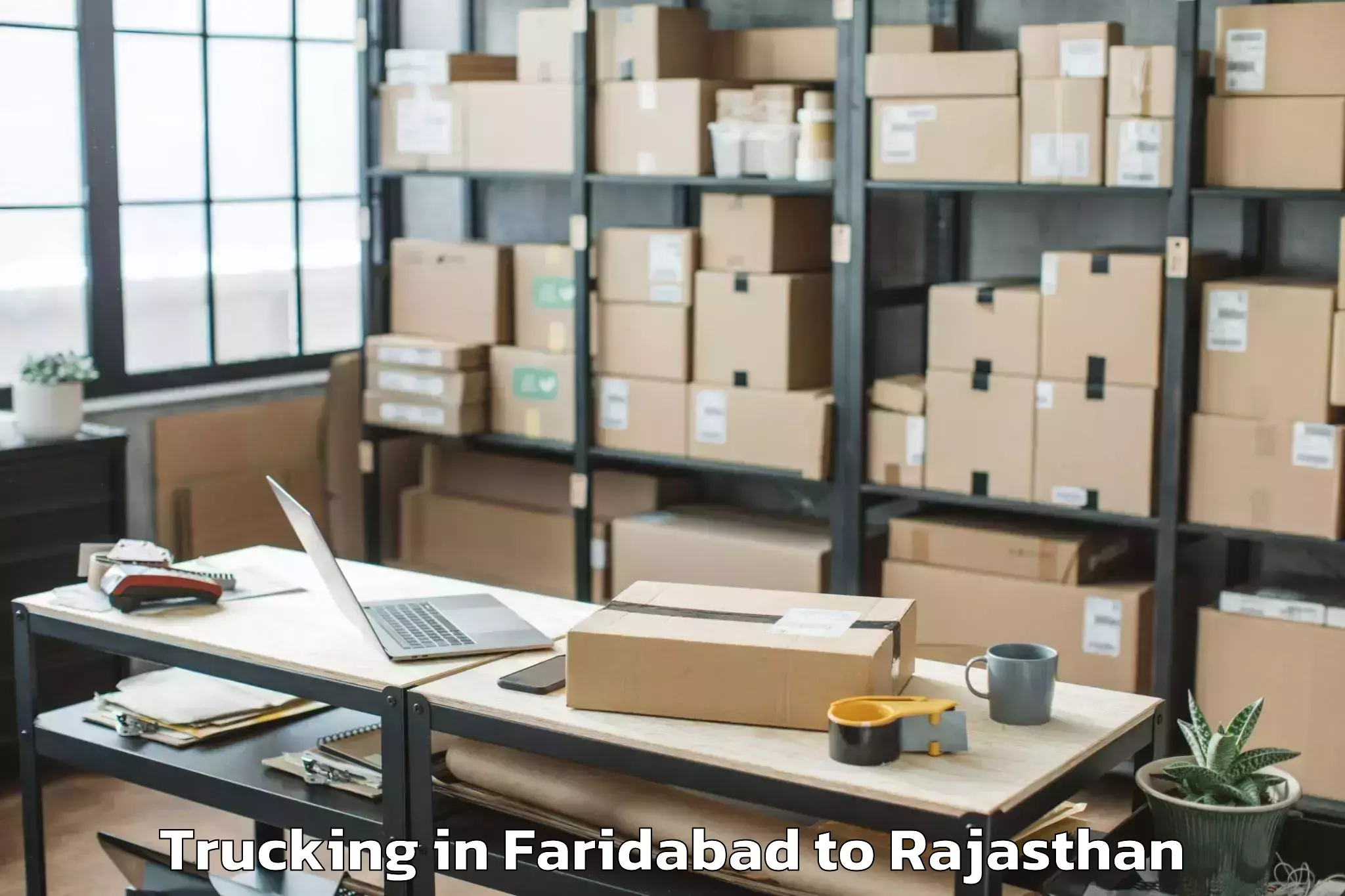 Book Faridabad to Amet Trucking Online